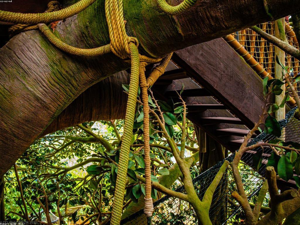 គំនិតកម្សាន្តសម្រាប់លេងផ្ទះ